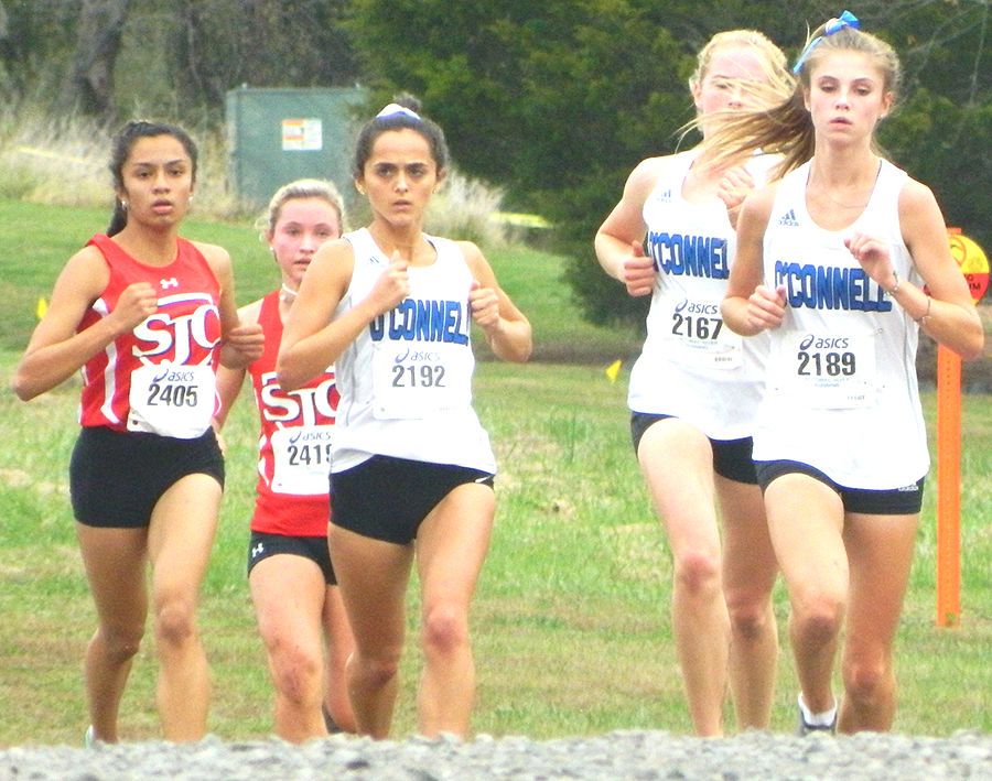 O'Connell cross country 6